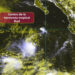 Se forma tormenta tropical Bud en el Océano Pacífico: ¿Está cerca de México?