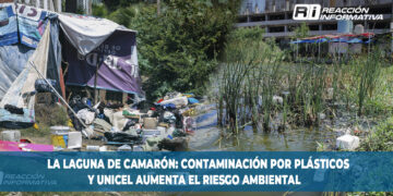La laguna del camarón: contaminación por plásticos y unicel aumenta el riesgo ambiental