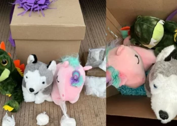 Son decomisados peluches con cocaína y metanfetamina en paquetería de Culiacán