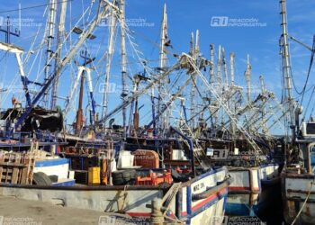 Levantamiento de la veda del camarón en el Pacífico se podría posponer hasta octubre