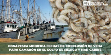 Pescadores de Sinaloa continúan sin fecha para el pago del Bienpesca estatal