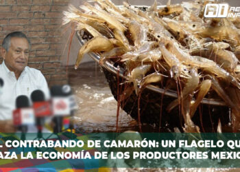 El Contrabando de Camarón: Un Flagelo que Amenaza la Economía de los Productores Mexicanos
