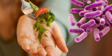 ¿Qué es E. coli y cuáles son los síntomas que causa esta bacteria?