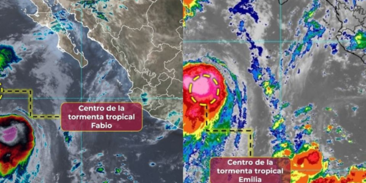 Efecto Fujiwhara en VIVO: sigue la trayectoria de las tormentas tropicales Emilia y Fabio