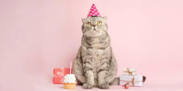 Día Internacional del Gato: ¿Por Qué se Celebra Hoy 8 de Agosto?