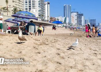 Mazatlán supera el millón de pasajeros en este 2024