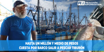 Hasta un millón y medio de pesos cuesta por barco salir a pescar tiburón