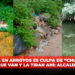 Basura en arroyos es culpa de “Chufulos” que van y la tiran ahí: Alcalde