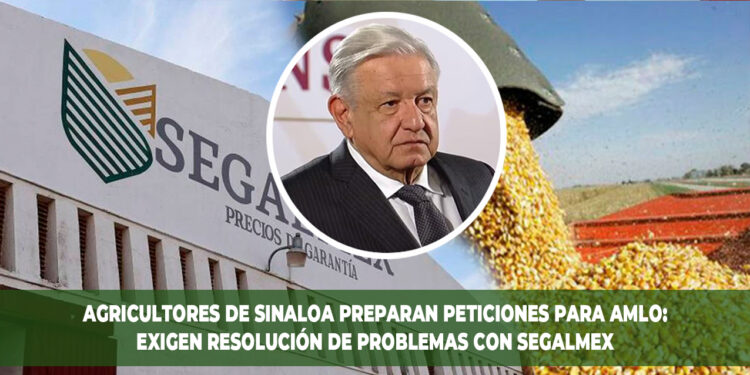 Agricultores de Sinaloa preparan peticiones para AMLO: Exigen resolución de problemas con SEGALMEX