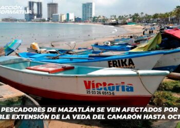 Pescadores de Mazatlán se ven afectados por posible extensión de la veda del camarón hasta octubre
