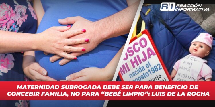 Maternidad subrogada debe ser para beneficio de concebir familia, no para “Bebé limpio”: Luis de la Rocha