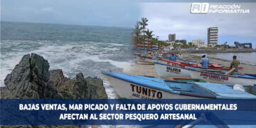 Bajas ventas, mar picado y falta de apoyos gubernamentales afectan al sector pesquero artesanal