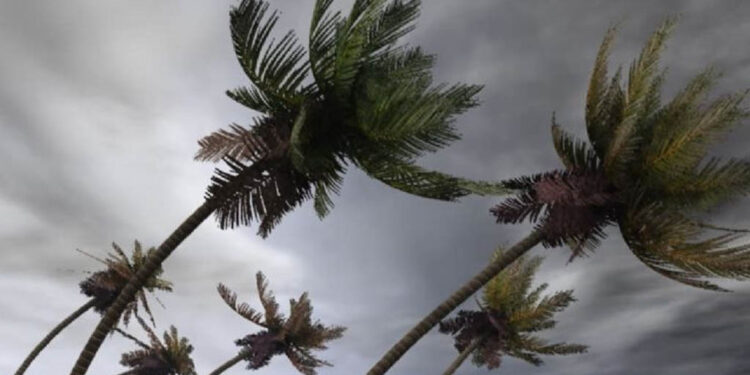 ¡No sólo es Carlotta! Onda tropical 15 se acerca a México: fecha en la que llega y estados que afectará