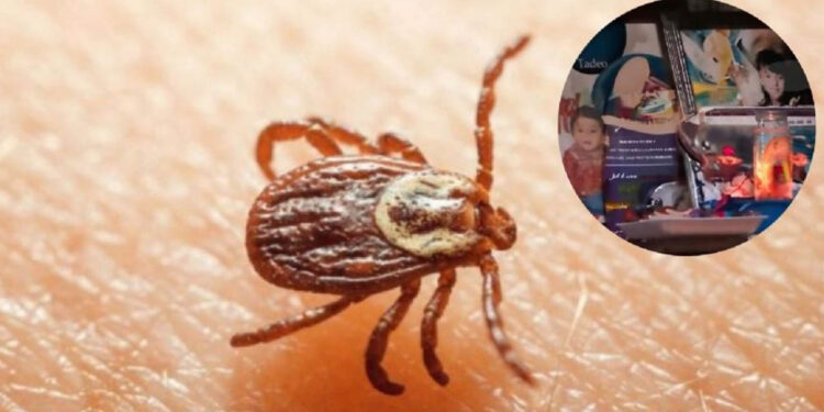 Quiénes eran Derek y Paola, los niños que murieron por la picadura de una garrapata en Nuevo León