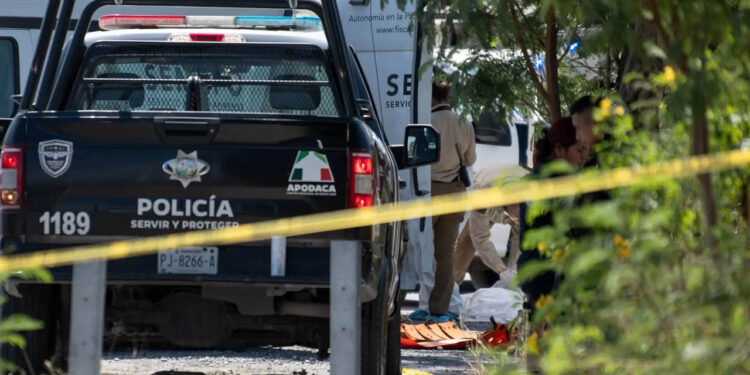 Suman 195 mil 295 homicidios dolosos en lo que va del sexenio