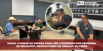 Hasta 5 horas de espera para ser atendidos por personal de SEGALMEX: productores de Sinaloa en crisis