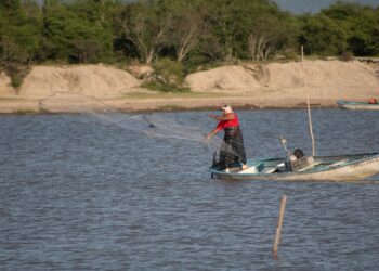 Conapesca extiende veda del camarón en laguna del Caimanero hasta el 25 de Octubre