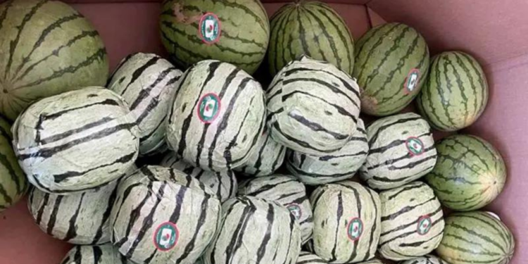 EU incauta ‘narcosandías’ procedentes de México valuadas en 5 millones de dólares