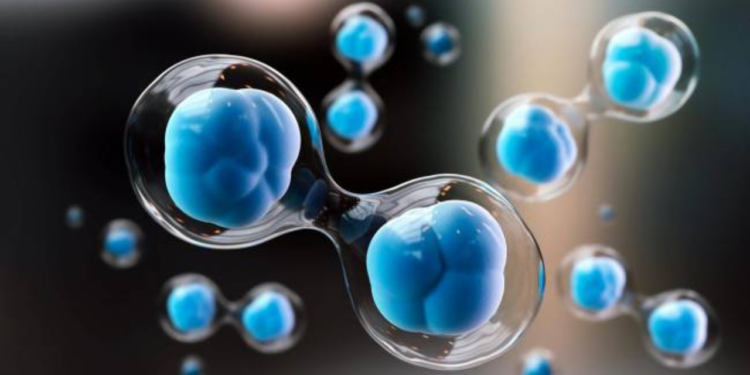 Paciente supera el VIH tras trasplante de células madre sin mutación