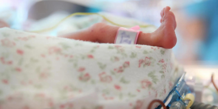 Nacimientos en México cayeron 3.7 % en 2023 e hilan dos años a la baja