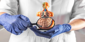 Científicos abren camino a nuevos tratamientos para enfermedades intestinales