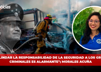 “Deslindar la responsabilidad de la seguridad a los grupos criminales es alarmante”; Morales Acuña