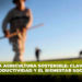 Hacia una agricultura sostenible: clave para la productividad y el Bienestar Social