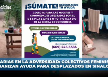 Solidarias en la Adversidad: Colectivos Feministas organizan ayuda para desplazados de Concordia