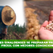 Productores sinaloenses se preparan para un ciclo de frijol con mejores condiciones