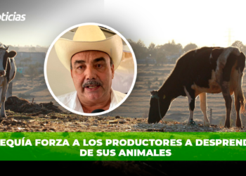 Acuicultores sinaloenses plantean retos y soluciones a Julio Berdegué