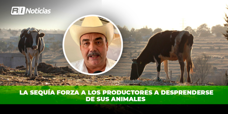 Acuicultores sinaloenses plantean retos y soluciones a Julio Berdegué