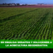 La sequía en Sinaloa: desafíos y soluciones a través de la agricultura regenerativa