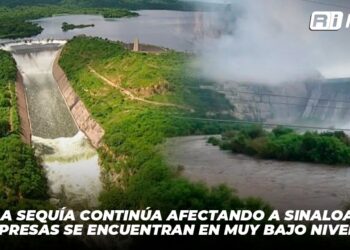 La sequía continúa afectando a Sinaloa, presas se encuentran en muy bajo nivel
