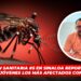 Jurisdicción sanitaria #5 en Sinaloa reporta 170 casos de dengue; jóvenes los más afectados con serotipo 3