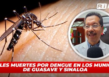 Posibles muertes por dengue en los municipios de Guasave Y Sinaloa
