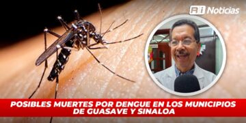 Posibles muertes por dengue en los municipios de Guasave Y Sinaloa