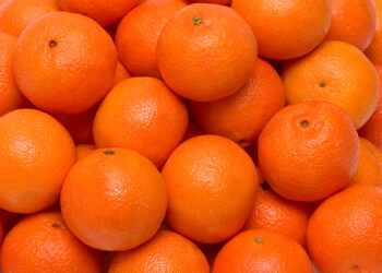 Precios de la canasta básica en Mazatlán inician octubre con ligeras variaciones