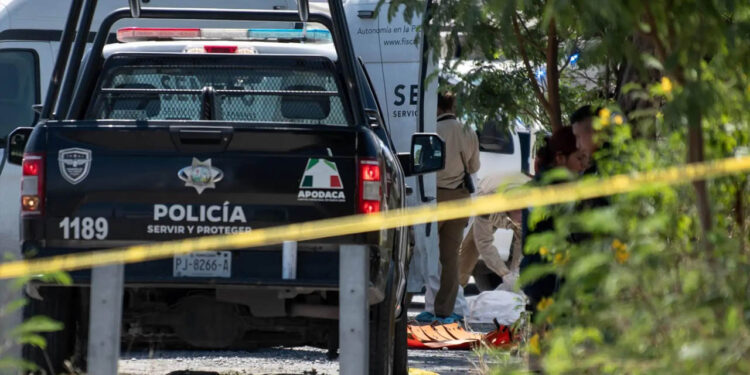 Gobierno de AMLO cerrará su mandato con récord de al menos 193 mil 612 homicidios