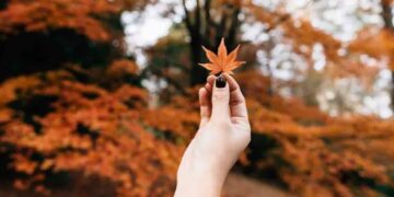 Bienvenido otoño 2024; hoy comienza la mejor temporada del año