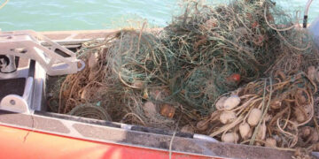 Organización revela que EE.UU. sancionó a México por pesca ilegal y restringe el acceso a sus puertos