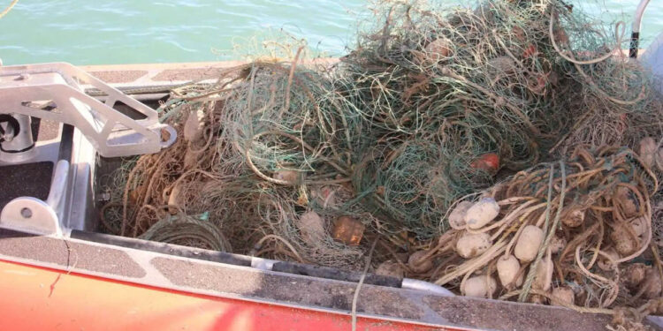 Organización revela que EE.UU. sancionó a México por pesca ilegal y restringe el acceso a sus puertos