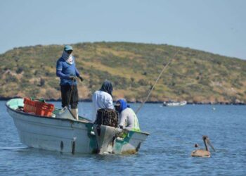 Pescadores de Sinaloa se adaptan a las nuevas realidades climáticas