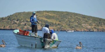 Pescadores de Sinaloa se adaptan a las nuevas realidades climáticas