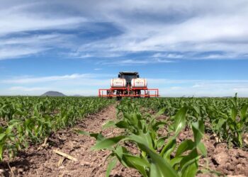 Nuevas Estrategias para Fortalecer la Soberanía Alimentaria en México
