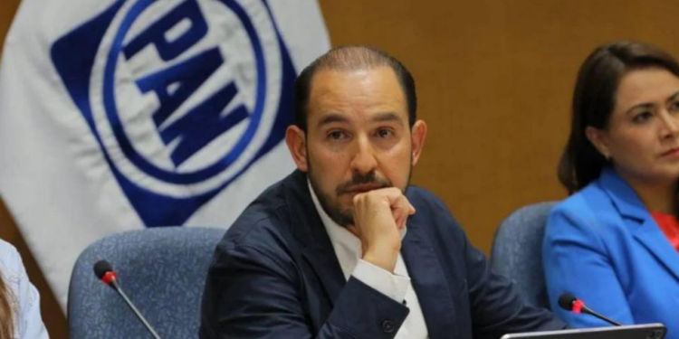 PAN exige al INE que acate las suspensiones judiciales y frene la elección de jueces