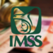 IMSS: ¿Cuánto dinero tienen que recibir los pensionados como aguinaldo en noviembre?