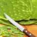 Cuáles son los beneficios de comer nopal crudo en ayunas