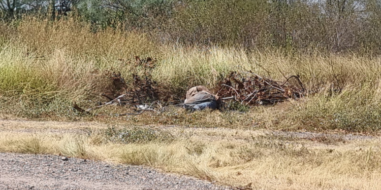 Localizan el cuerpo de un hombre con disparo en la cabeza, las manos esposadas y los ojos vendados en Culiacán