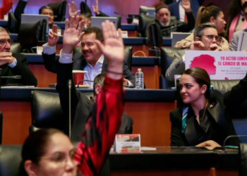 Senado aprueba que CFE y Pemex se conviertan en “empresas públicas”