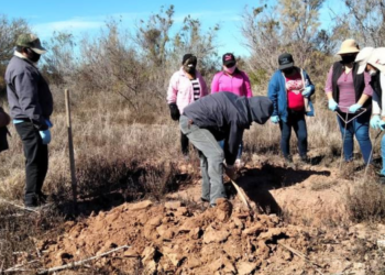 Madres buscadoras encuentran 16 cuerpos en fosas de Sonora y Baja California Sur